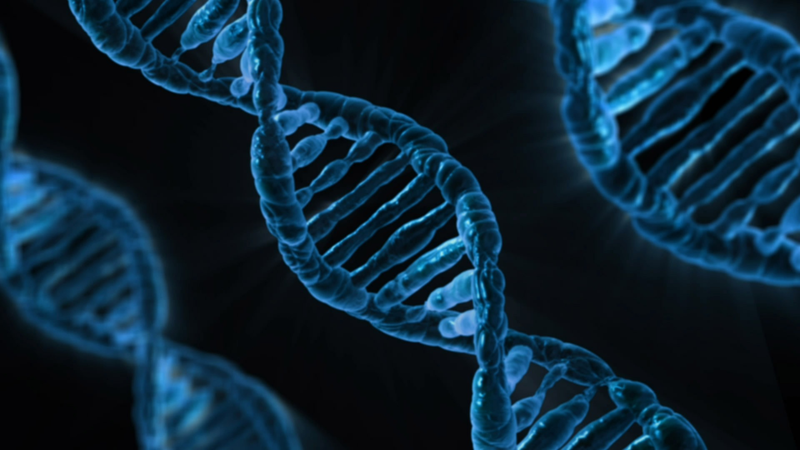 ADN v&agrave; DNA l&agrave; hai c&aacute;ch gọi kh&aacute;c nhau của c&ugrave;ng 1 loại ph&acirc;n tử&nbsp;