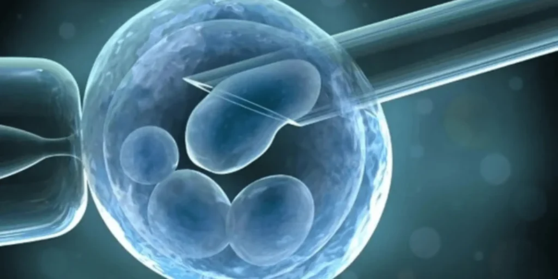 C&ocirc;ng thức t&iacute;nh tuổi thai IVF ng&agrave;y 6