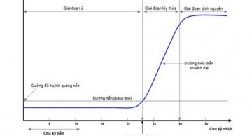 dao-tao/pcr-001.jpg