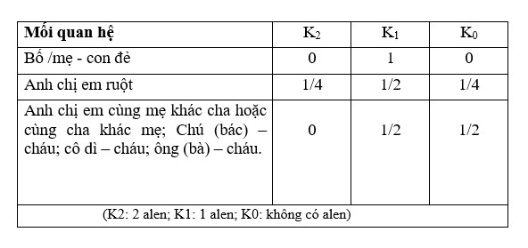 ADN của Ông và Cháu Có Giống Nhau Không? Khám Phá Mối Quan Hệ Di Truyền Đầy Thú Vị