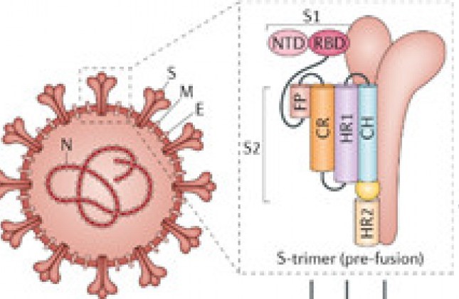 Đánh giá hiệu quả sau tiêm vaccine ngừa Covid-19