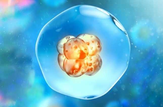 Báo cáo: Chẩn đoán Thalasemia phôi tiền làm tổ (PGD-Thalassemia)