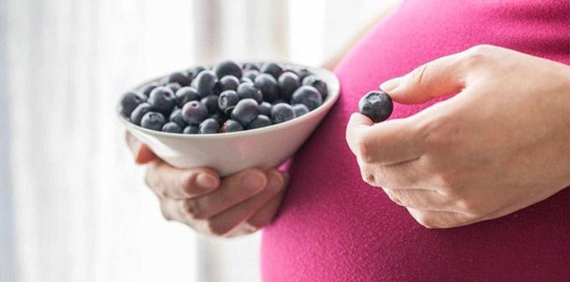 Trong quả việt quất có chứa rất nhiều các vitamin và khoáng chất thiết yếu giúp đẩy lùi nguy cơ mắc các dị tật thai nhi bẩm sinh như: vitamin C, vitamin A, vitamin nhóm B, omega 3, axit folic…