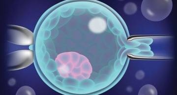 PGTest - Kỹ thuật sàng lọc phôi hiện đại giúp sinh con khỏe mạnh
