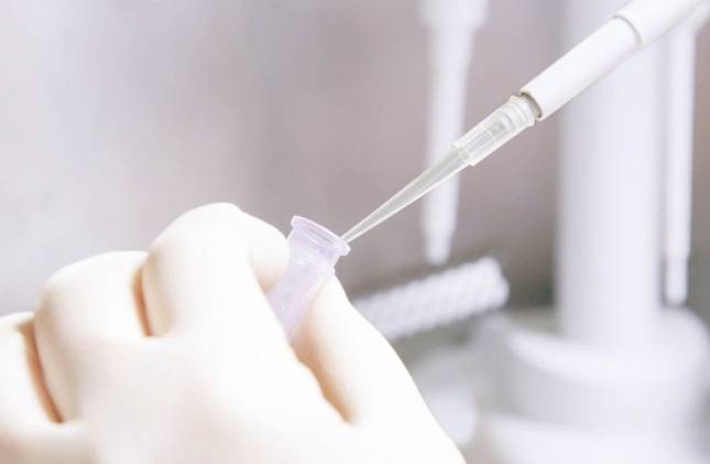 Mẫu đơn đề nghị xét nghiệm ADN