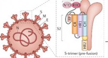 Đánh giá hiệu quả sau tiêm vaccine ngừa Covid-19