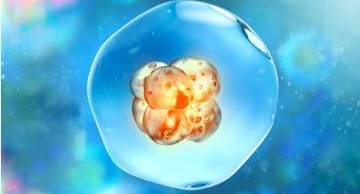 Báo cáo: Chẩn đoán Thalasemia phôi tiền làm tổ (PGD-Thalassemia)