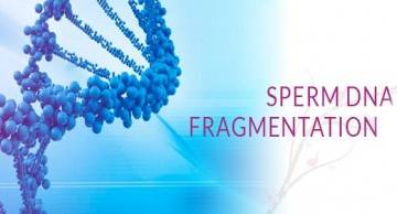 Phân mảnh DNA tinh trùng và Mối liên hệ vô sinh nam giới