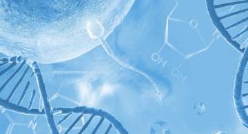 Ngỡ ngàng khi biết chồng vô sinh dù đã có... 2 con