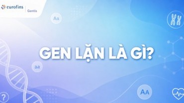 Gen lặn là gì