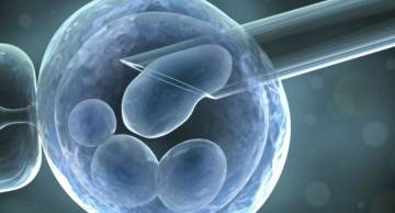Xét nghiệm Genratest mang hy vọng cho các cặp vợ chồng hiếm muộn