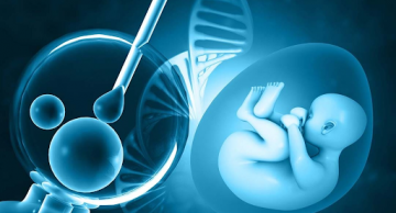 3 loại xét nghiệm phân tích di truyền trước chuyển phôi PGTest thường dùng