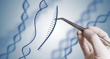 Xét nghiệm ADN Đồng Nai ở đâu nhanh chóng và chính xác?