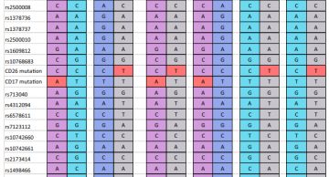 Phát triển và áp dụng xét nghiệm di truyền trước chuyển phôi (PGT-M) cho bệnh beta thalassemia ở Việt Nam