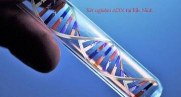 Xét nghiệm ADN Bắc Ninh ở đâu chính xác và đơn giản