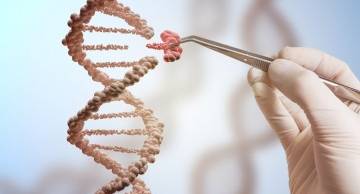 Trung tâm xét nghiệm ADN Đắk Lắk uy tín hiện nay