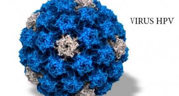 Virus HPV là gì? Virus HPV có nguy hiểm không?