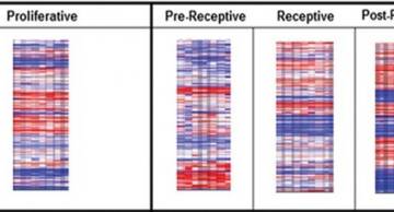 Xác định cửa sổ tối ưu cho chuyển phôi với xét nghiệm Genratest (Era)