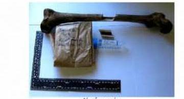 Phương pháp tách chiết ADN từ xương người