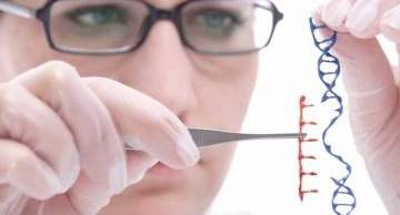 Một phát hiện quan trọng trong chẩn đoán bệnh di truyền