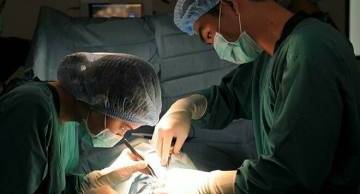 Điều trị vô sinh cho người đột biến sinh học