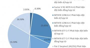 Ảnh hưởng của Thrombophilia di truyền đến sảy thai liên tiếp, những nghiên cứu và bằng chứng