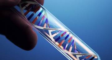 Địa điểm xét nghiệm ADN tại Hà Tĩnh chính xác và nhanh chóng