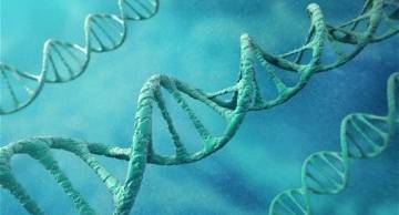 Có thể xét nghiệm adn tìm nguồn gốc tổ tiên được không?