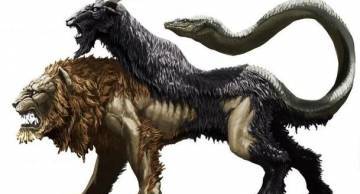 Tìm hiểu về hiện tượng Chimerism