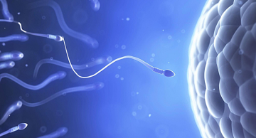 Chi phí xét nghiệm phân mảnh ADN tinh trùng tại Hà Nội