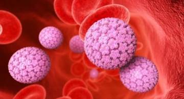 Địa chỉ xét nghiệm HPV cho nam tại Hà Nội