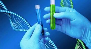 Bật mí địa chỉ xét nghiệm ADN tại Ninh Bình có chứng nhận pháp lý