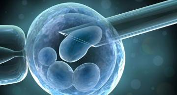 Ứng dụng của PGT-M trong sàng lọc bệnh Thalassemia