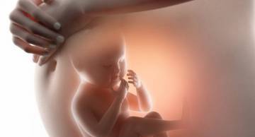 4 Nguyên nhân thai nhi dị tật Ống thần kinh & 6 yếu tố làm tăng nguy cơ