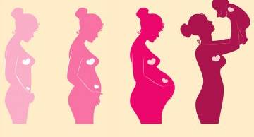 Sàng lọc trước sinh có chính xác không? Từ A - Z về sàng lọc trước sinh