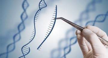 Xét nghiệm ADN cần những gì? Tổng hợp đầy đủ từ A đến Z