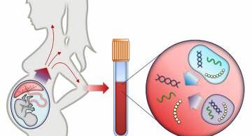 [Giải đáp]: Khi mang thai có xét nghiệm ADN được không?