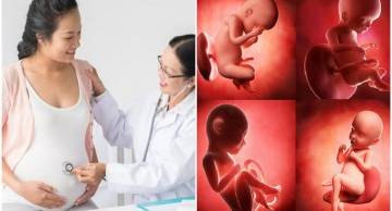 Sàng lọc trước sinh nguy cơ thấp là gì? Mẹ bầu cần làm gì?