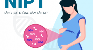 Địa chỉ xét nghiệm NIPT ở Đà Nẵng chính xác >99%, cực uy tín