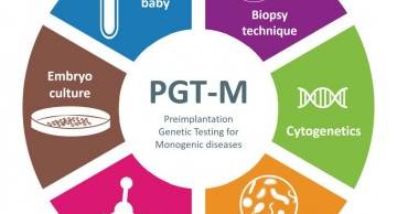 Ứng dụng của xét nghiệm PGT-M trong sàng lọc phôi tiền làm tổ