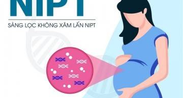 Cơ sở khoa học của xét nghiệm NIPT