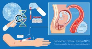 Xét nghiệm NIPT ở TPHCM ở đâu uy tín? Review từ A - Z
