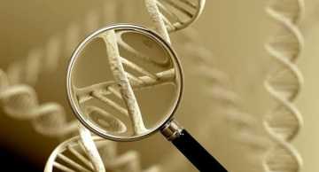 Có thể xét nghiệm ADN họ hàng không? Độ chính xác & Chi phí 