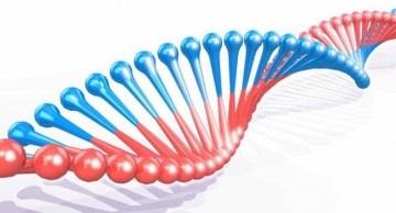 Địa chỉ xét nghiệm ADN ở Huế nhanh chóng, chuẩn xác
