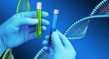 Xác định độ tin cậy của phân tích ADN trong giám định hình sự và xác định huyết thống