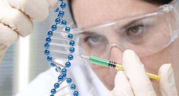 Phân tích ADN xác định huyết thống được thực hiện như thế nào?