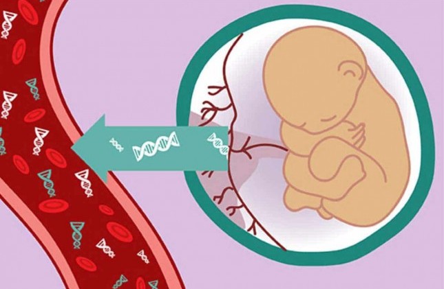 Giải mã câu hỏi thai nhi có xét nghiệm ADN được không?