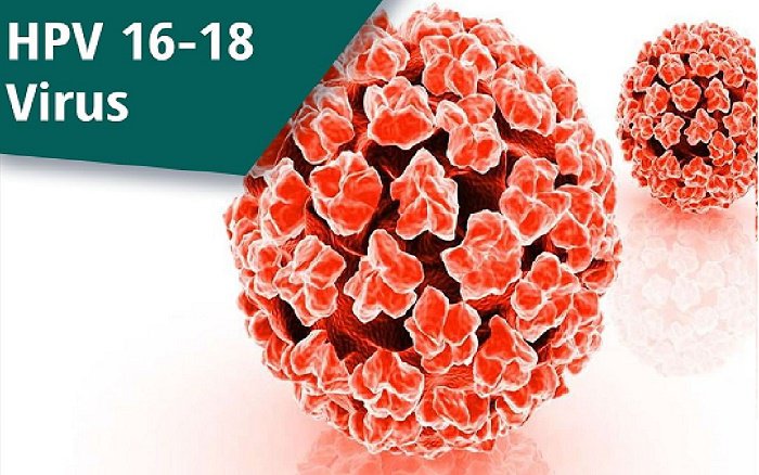 HPV 18 có liên quan đến ung thư như thế nào?
