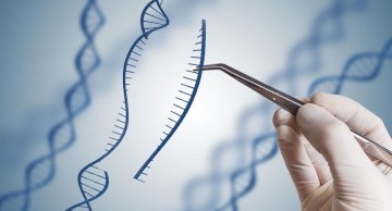 xét nghiệm adn ở hải dương