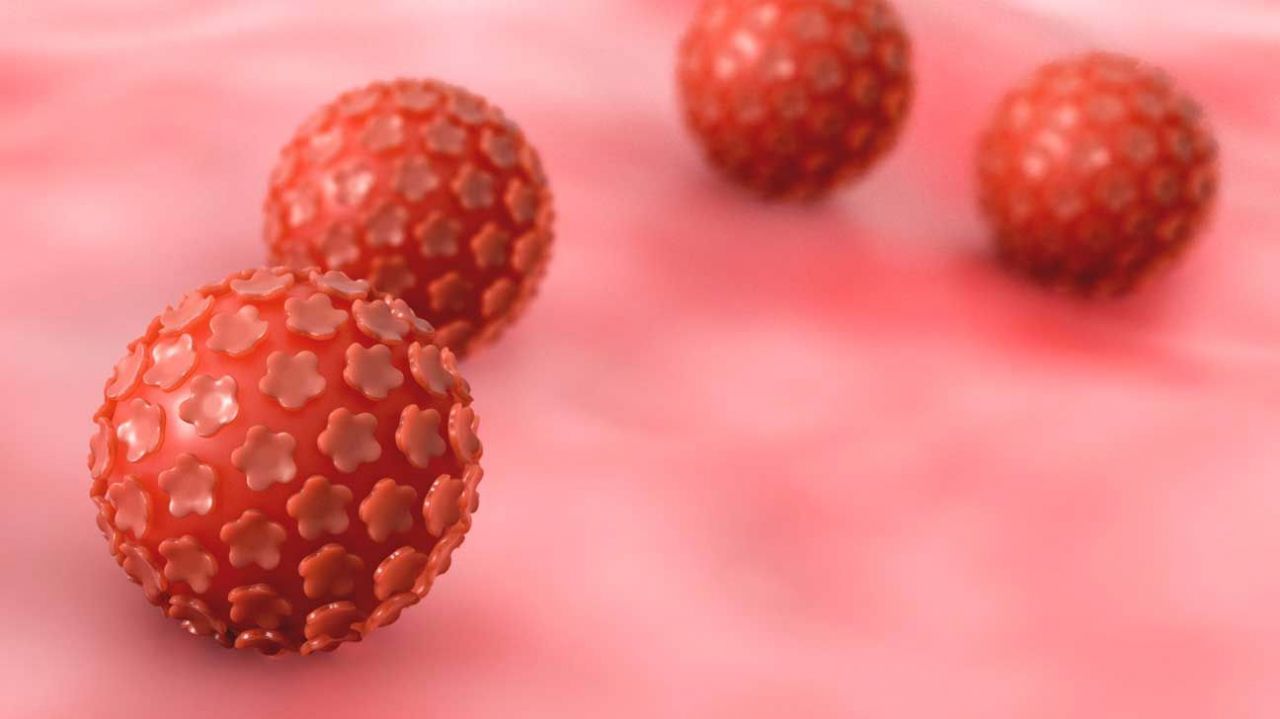 Virus hpv tuyp 16. Ce este HPV?